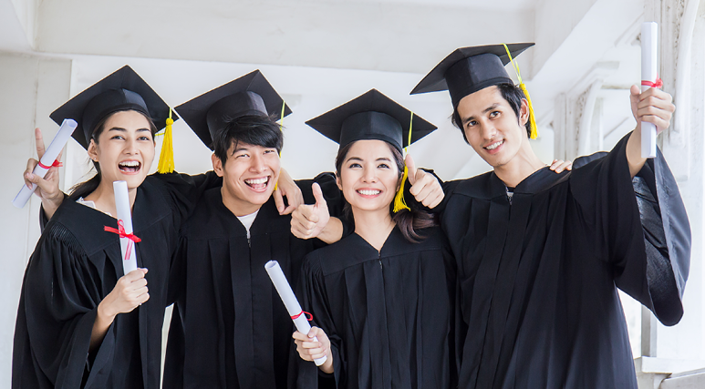 Bachelor's Degree Programmes