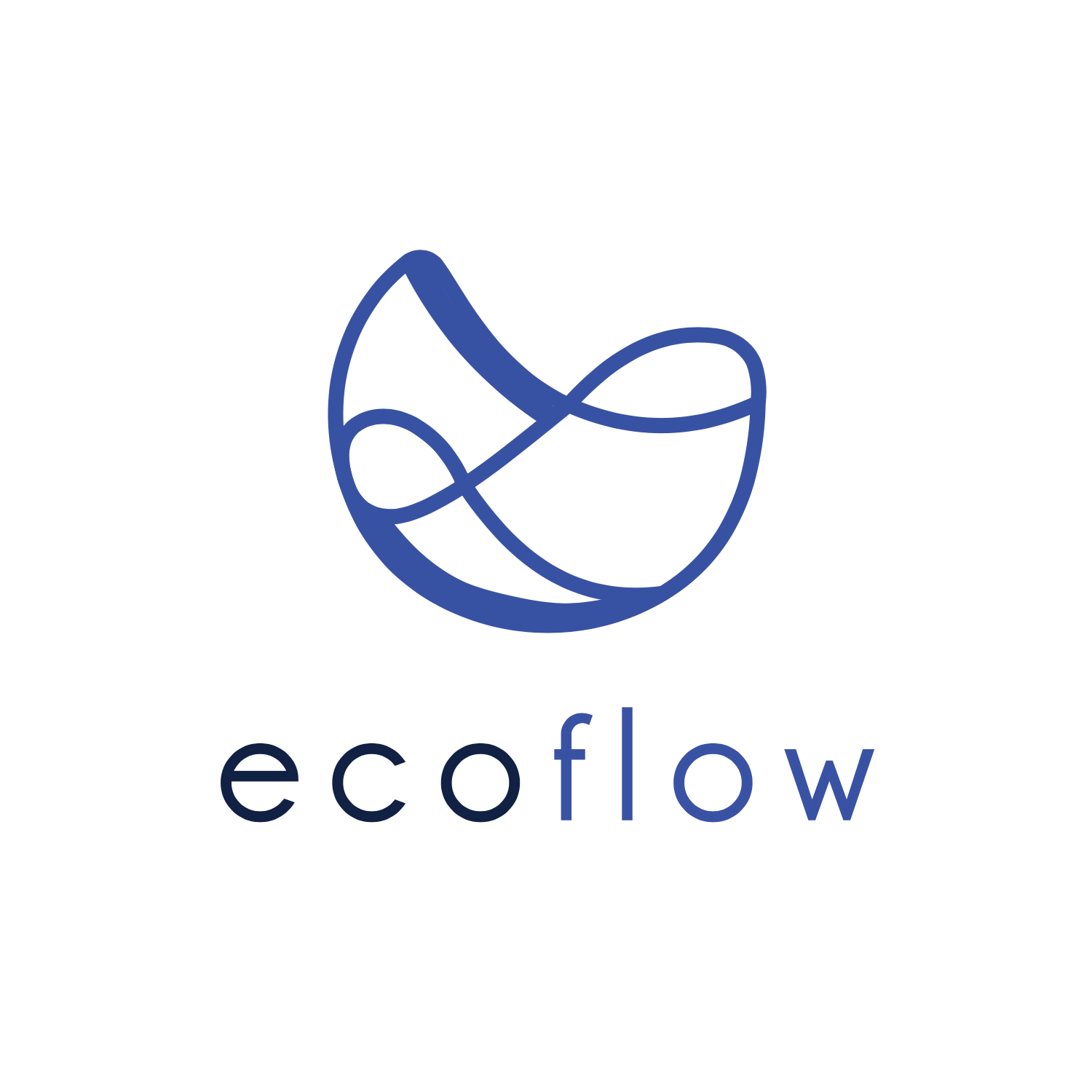 Ecoflow LOGO-300